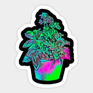 Colourful Coleus Plant Sticker